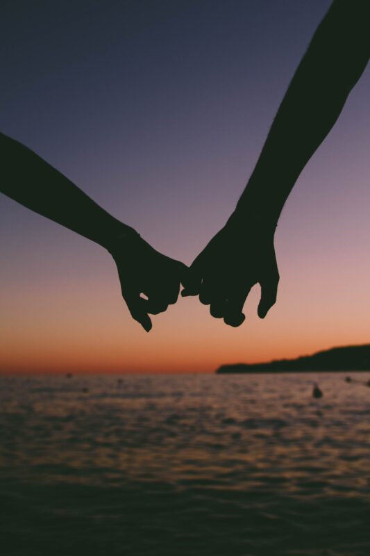 pexels valentin antonucci 1378723